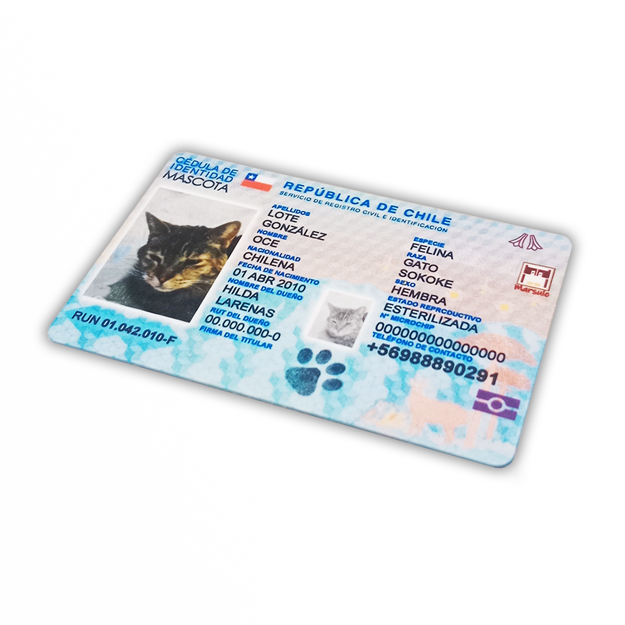 Tarjeta carnet de mascota PLUS diseño 2025